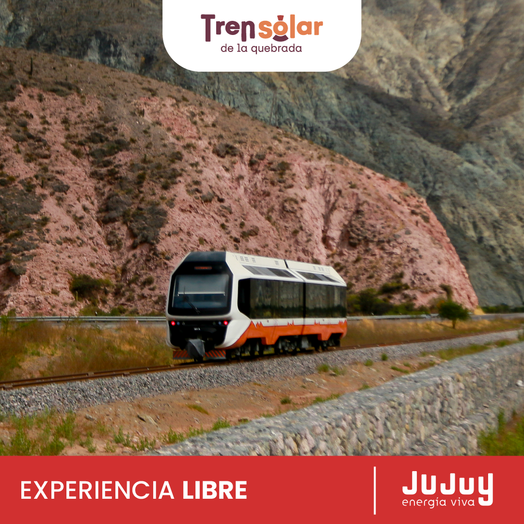 EXPERIENCIA LIBRE